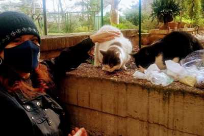 Bari, la vita dei 203 gattari "tesserati" dal Comune: �Spese per i mici tutte a nostro carico�